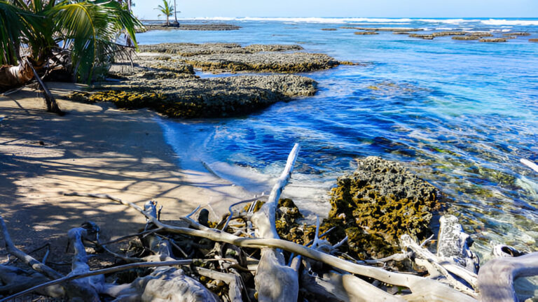 Discover the Hidden Gem: Keawakapu Beach, Hawaii’s Best Snorkeling Spot