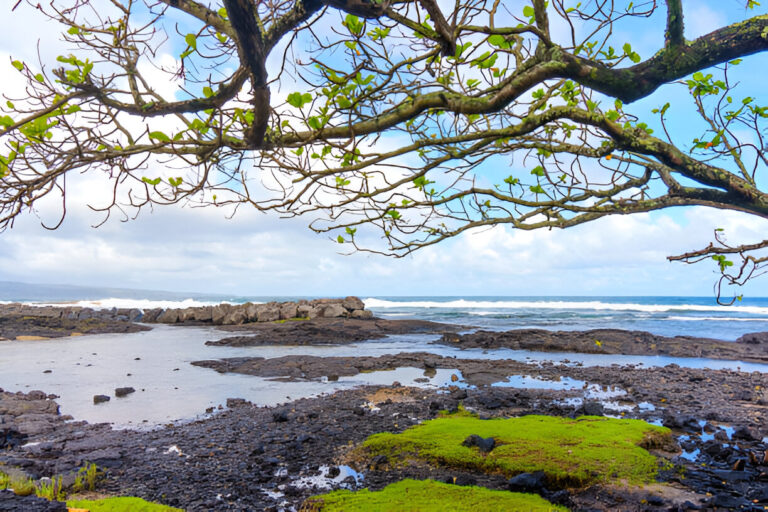 Discover the Enchanting Hidden Gems of Glass Beach Hawaii